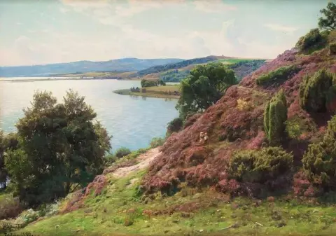 丹麦图尔斯特鲁普的风景