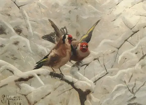 冬天的斯蒂利茨鸟 - Carduelis Carduelis 1918