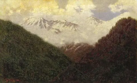 雪中风景
