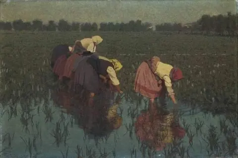里萨尤勒 1897