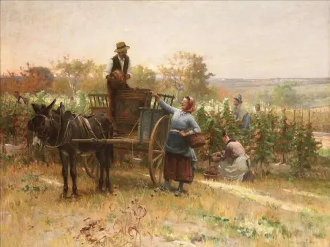 The Grape Harvest