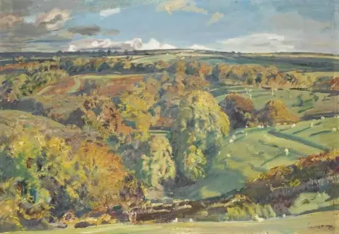 윈스포드 힐 엑스무어(Winsford Hill Exmoor)를 바라보는 위디풀(Withypool)