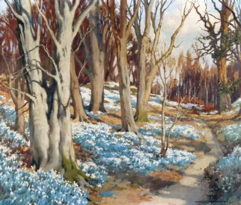 Snowdrops In The Woods