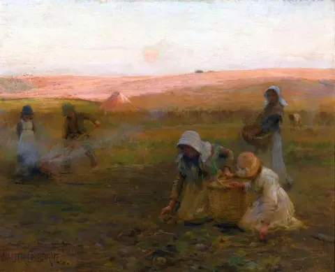 Potato Gathering 1888