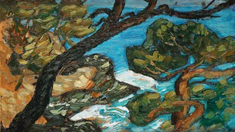 Coastal View With Pine Trees