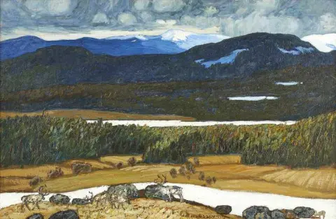 Sonfjallet Med Duvknatten 1904 年