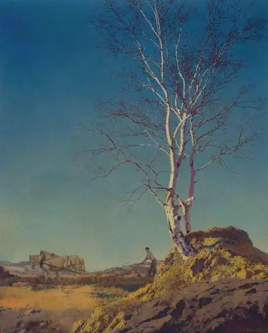 白桦 1929