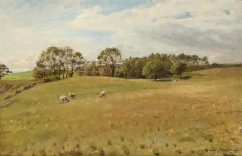 放牧羊的风景 1900