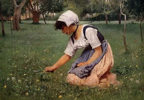 Raccolta dei denti di leone 1881