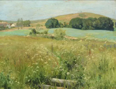 Deens zomerlandschap 1899