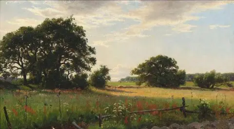 草地上的轻云 1881