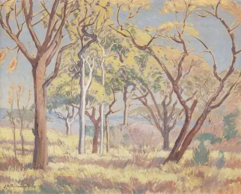 Bushveld 1943