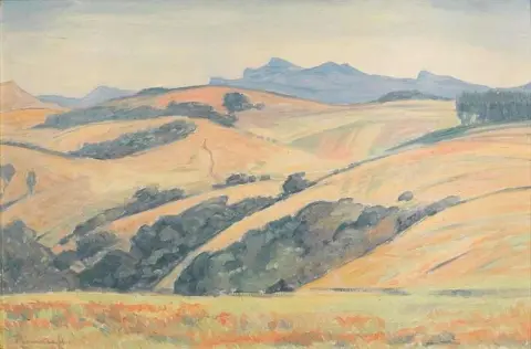 Karoo landskap