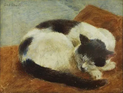 Gato Blanco Y Negro Durmiendo