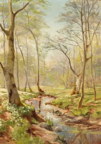 Um riacho na floresta em um dia de primavera