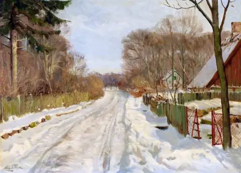 积雪覆盖的乡村道路