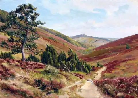 Rebild Bakker 丹麦景观 1953