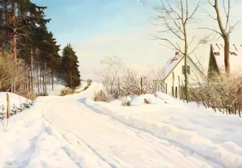 雪中乡村道路的景色