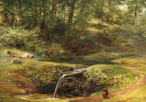 우드랜드 글레이드 1854