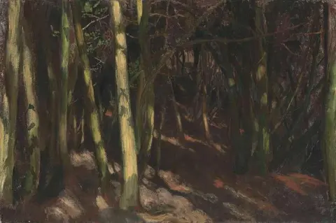 Деревья 1889 г.