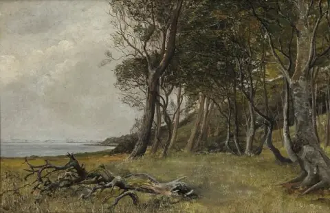 Roskilde Fjord 1928의 해안 전망
