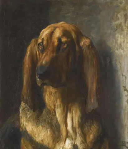 Sir Lancelot A Bloodhound 1888