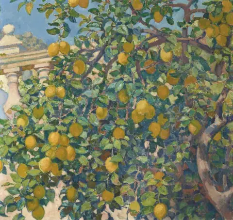Limoneros A La Mortola 1921