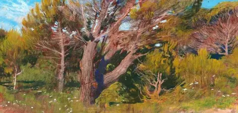 من سلسلة .campagna Romana رقم 40