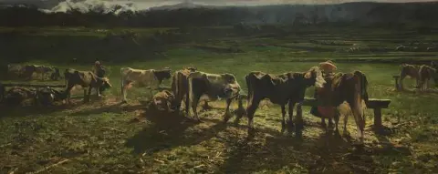 ألا ستانجا 1886