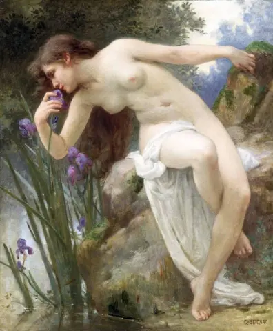 芬芳的鸢尾花