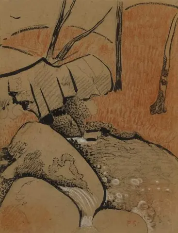נהר הכסף בהולגואט 1895