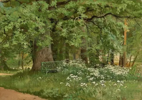A Bench In The Shade