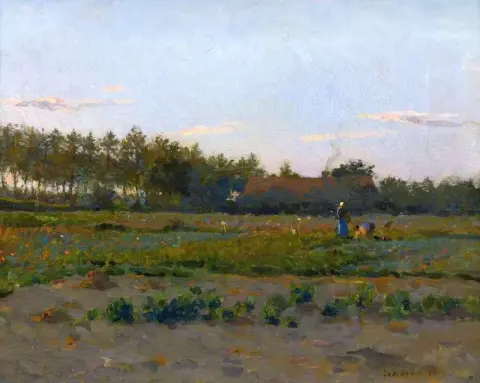 Coqueliquot-veld 1884