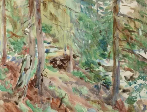 森林场景，约 1907 年