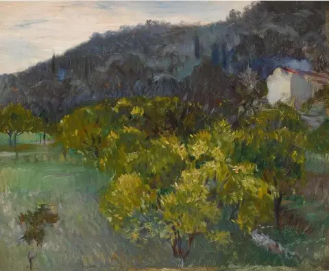 尼斯附近的风景，1883 年