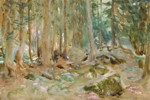 松林普图德，约 1907 年