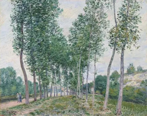洛林河畔的杨树大道 1892