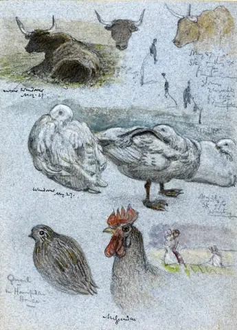 Ritagli dagli album da disegno 1