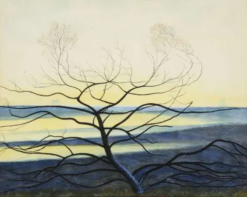 Silhouette Of Trees In Winter Hautes Fagnes Ca. 1940