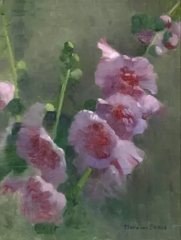 蜀葵研究