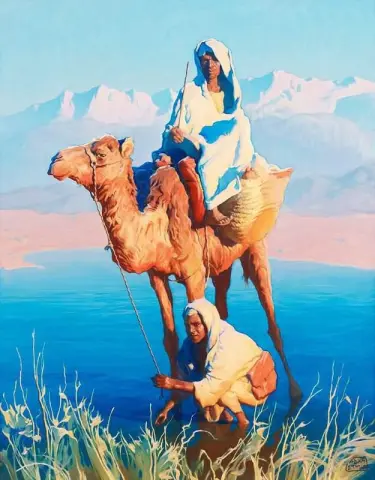 Camel Rider