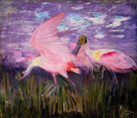 粉红琵鹭 Ca. 1905-09