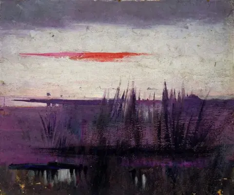 白色火烈鸟模拟的天空，约 1905-09