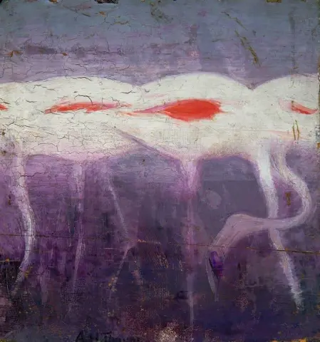 白色火烈鸟约 1905-09