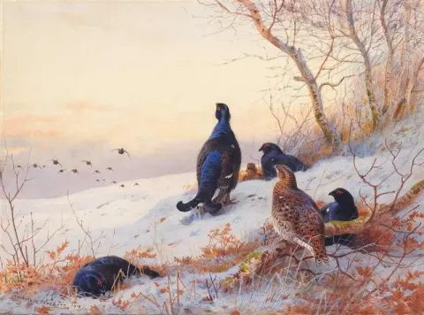 Blackgame 包装 1910