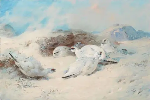 雷鸟寻求庇护 1927