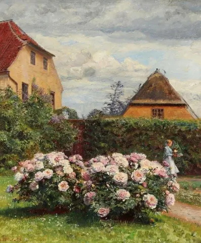 Peonies In A Garden