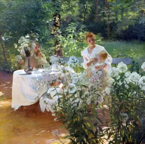 Phlox 1889