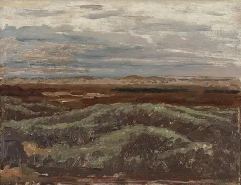 Näkymä Plantaatiosta Skagenissa 1905