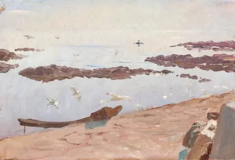 海鸥飞翔的海岸风光